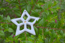 Load image into Gallery viewer, Lone Star Ornaments