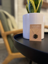 Load image into Gallery viewer, Robin Necklace