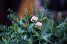 Load image into Gallery viewer, Shine Square Studs