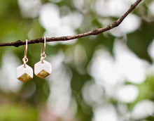 Load image into Gallery viewer, Coastline Earrings